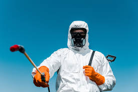 Best Bee and Wasp Removal  in Ke Arthur, LA